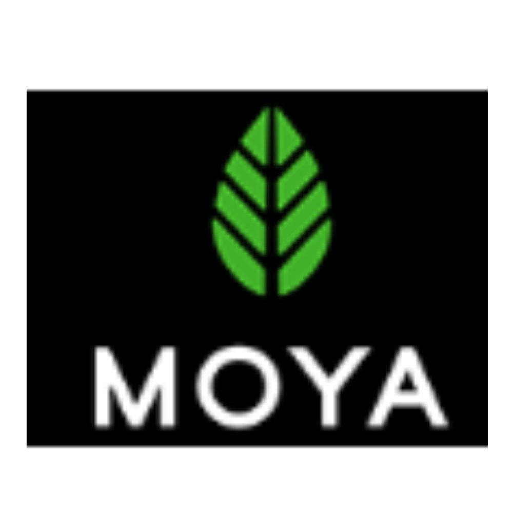 Moya Matcha