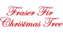 Fraser Fir Christmas Tree