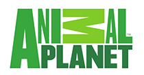 Animal Planet