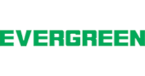 Evergreen