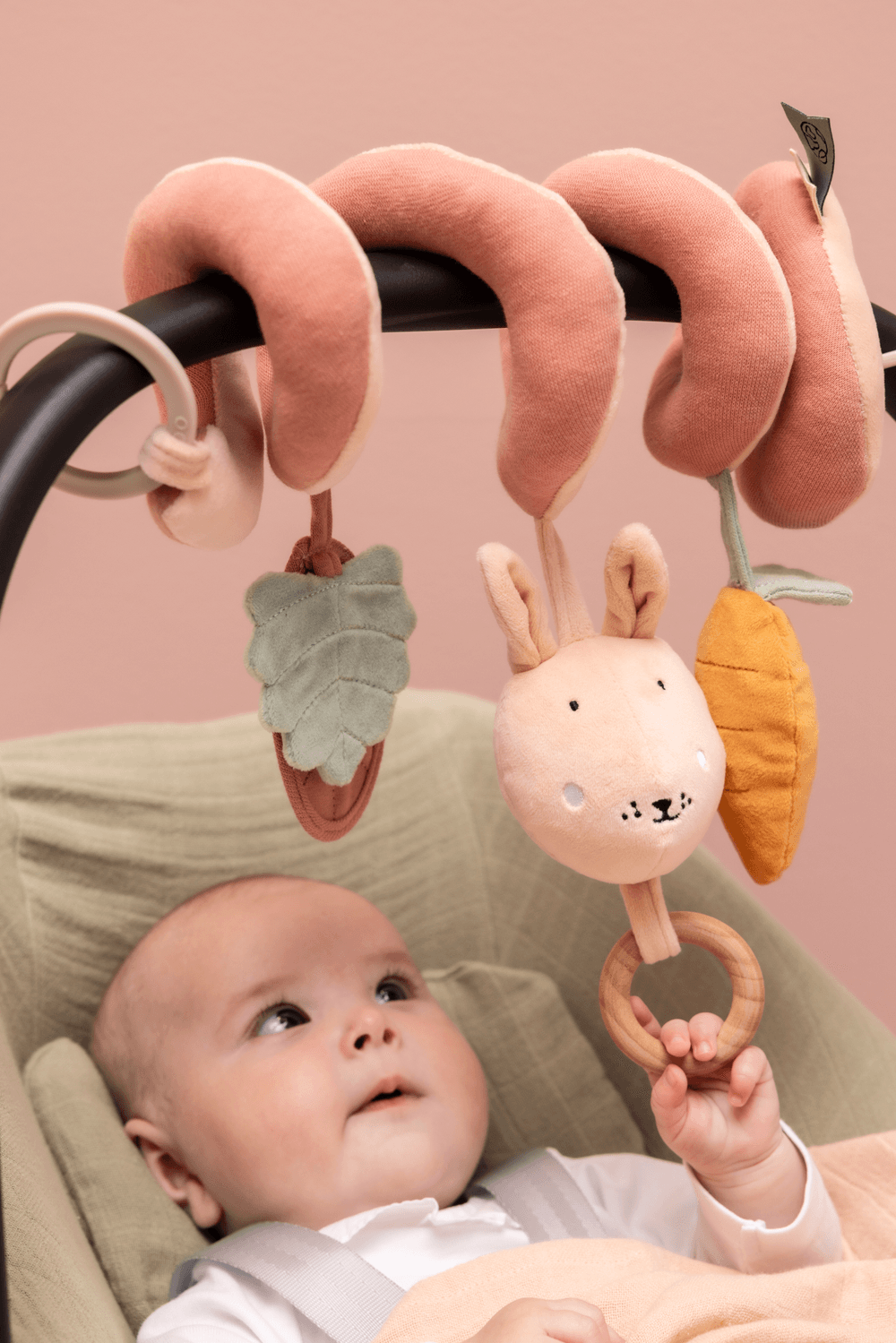 Trixie - Activity Spiral - Mrs. Rabbit