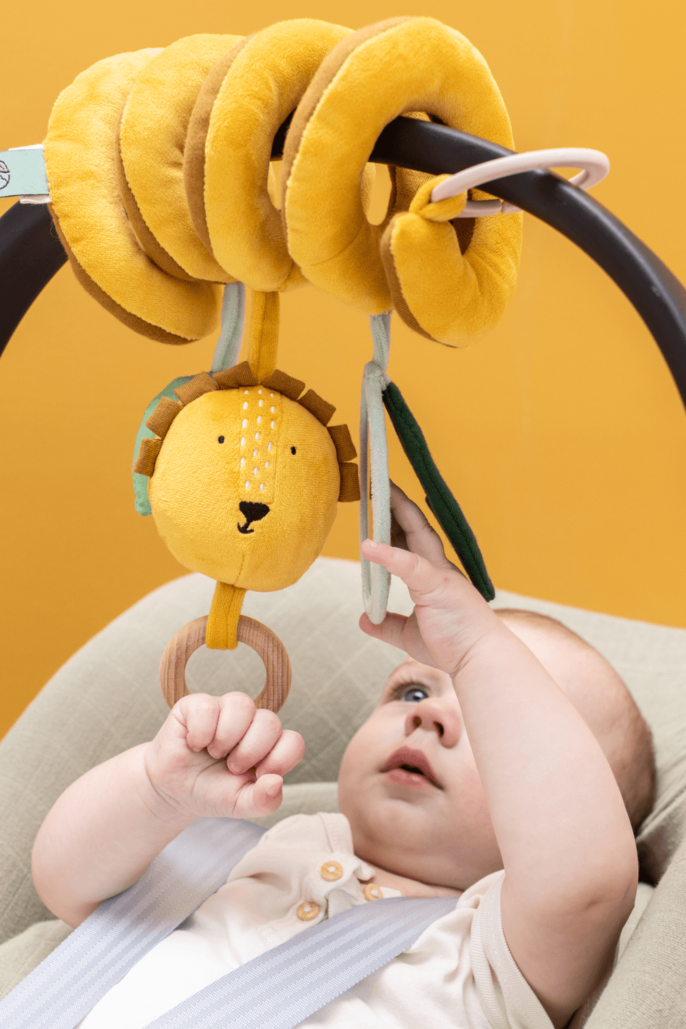 Trixie - Activity Spiral - Mr. Lion