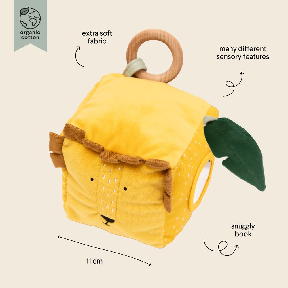 Trixie - Activity Cube - Mr. Lion