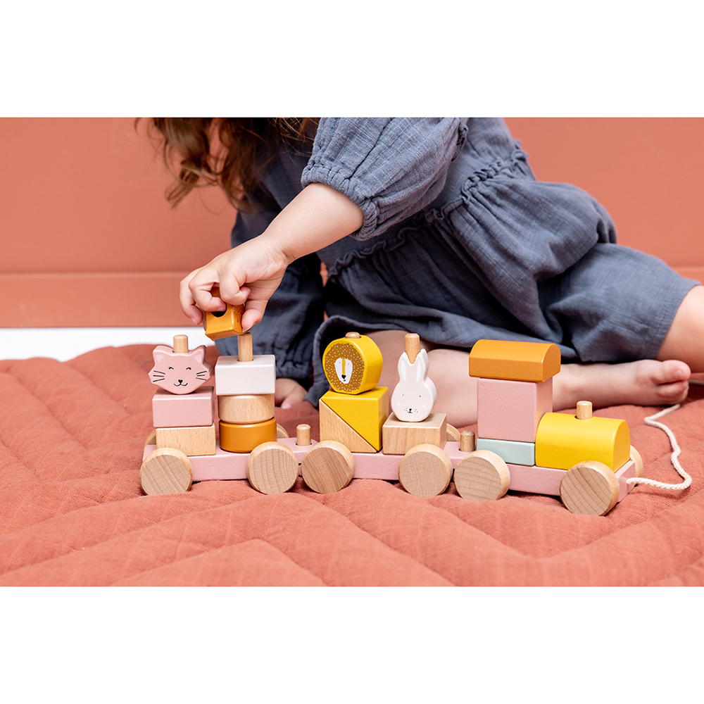 تريكسي - قطار الحيوانات الخشبي - السيدة قطة