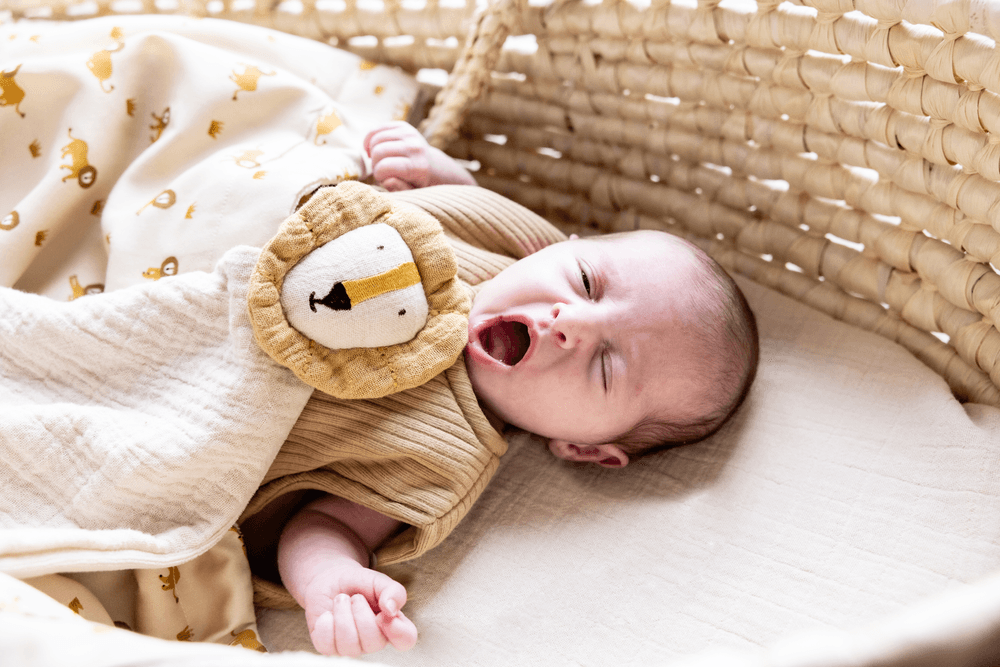 Trixie - Mr. Lion Bliss Comforter - Beige