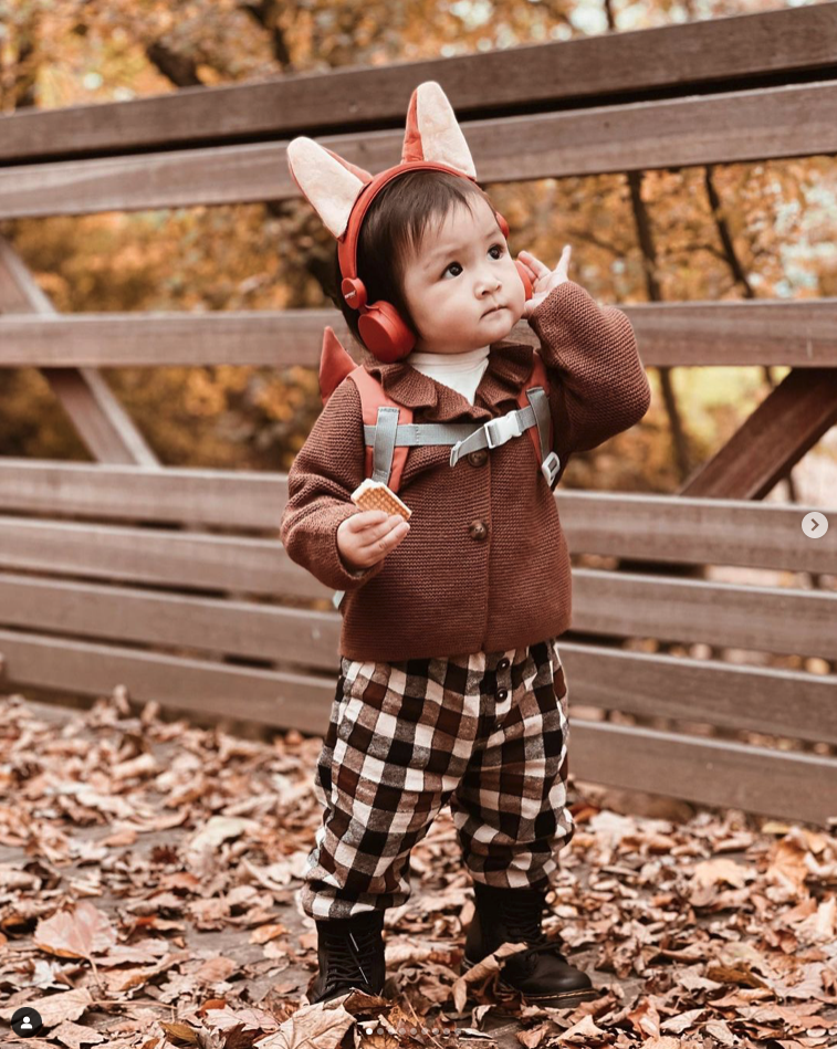 Kidywolf - Kidyears Headset - Fox