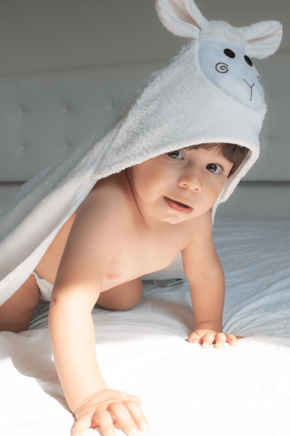 زووكيني - منشفة أطفال بغطاء رأس - الخروف لاكي - أبيض