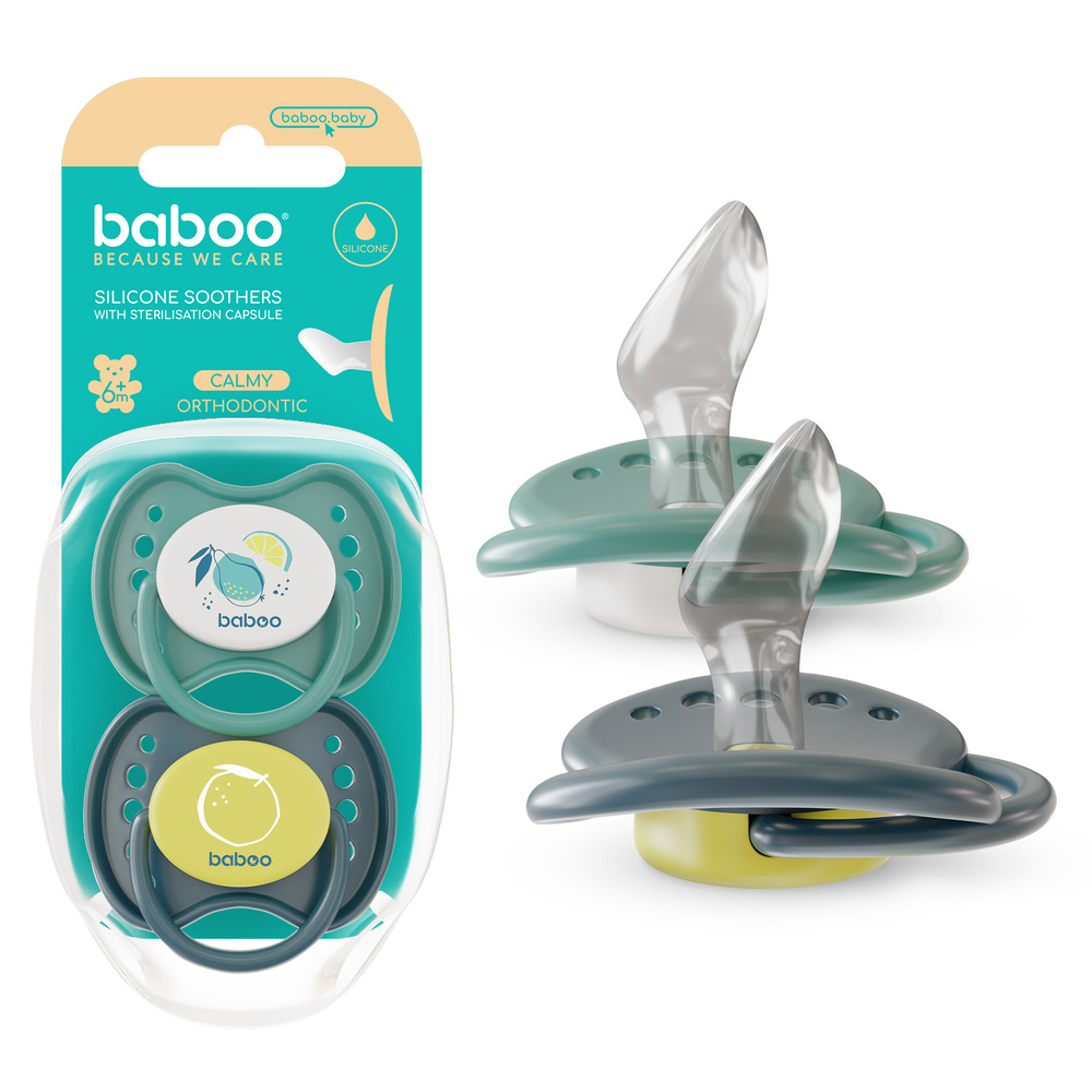 Baboo - Silicone Orthodontic Baby Pacifier With Sterilizer Box - Lagoon Fiesta - +6m - 2pc