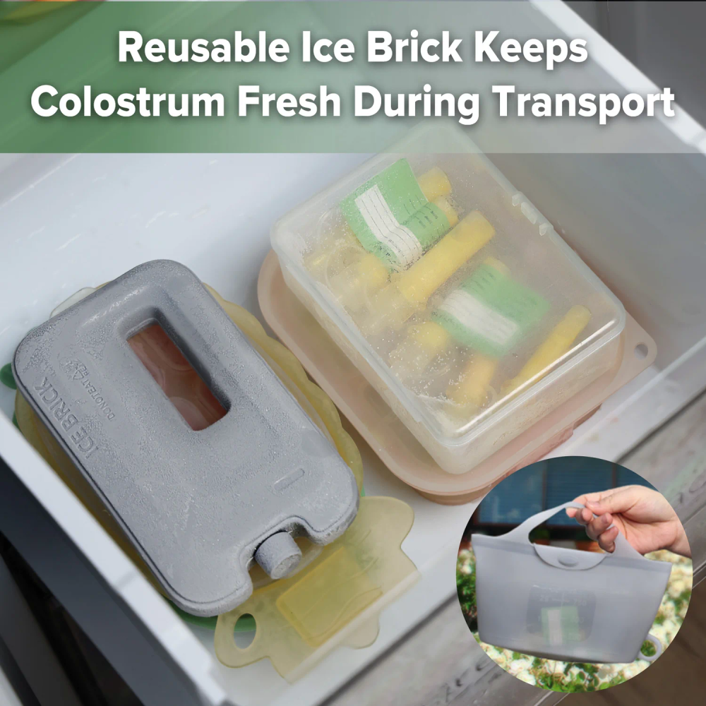 هاكا - مجموعة عبوات تجميع اللبأ مع كيس تعقيم وقالب ثلج - 6 قطع