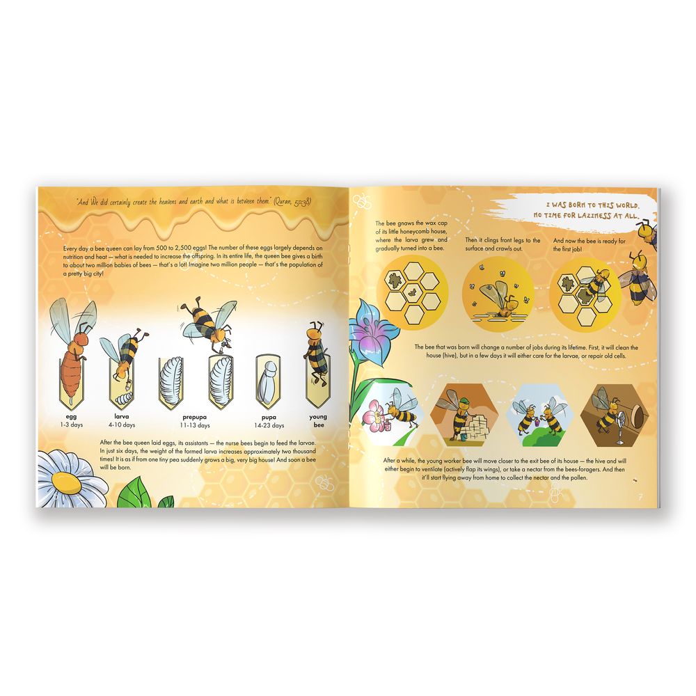 The Bee Is Allah's Amazing Creation