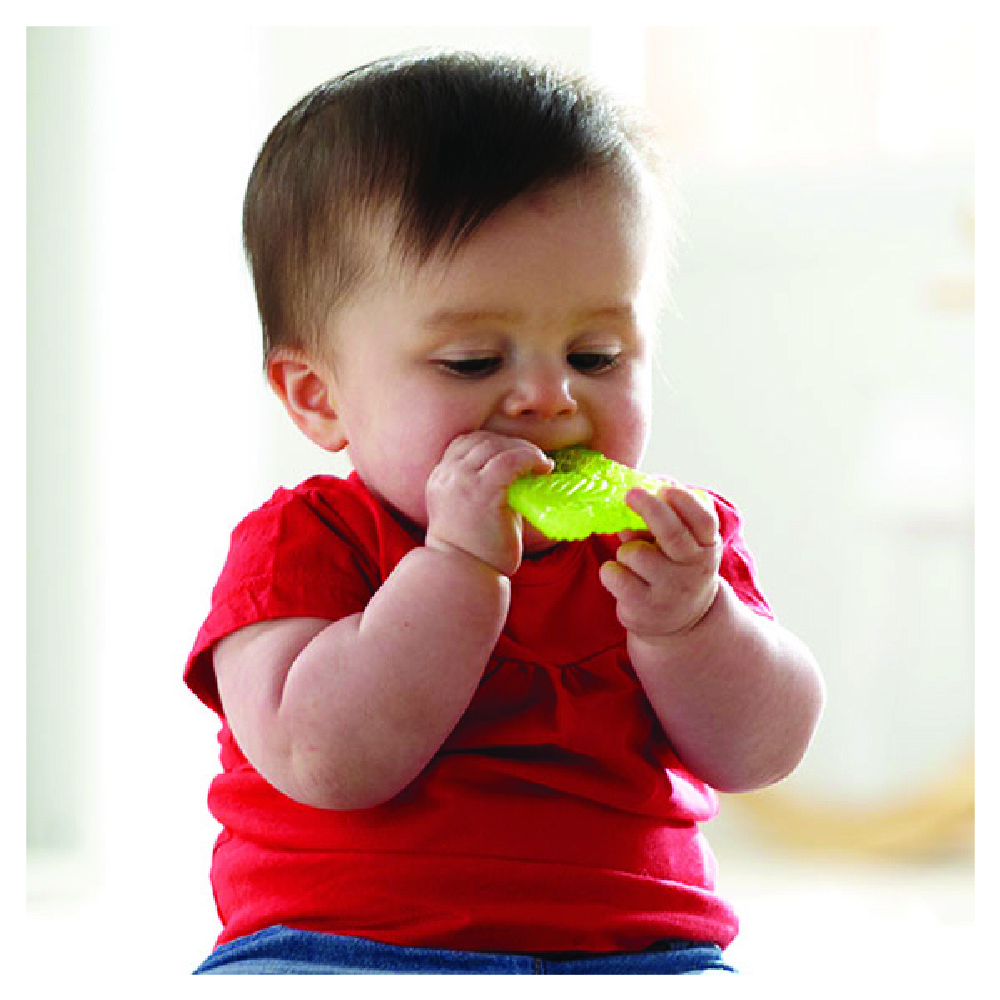 Munchkin - Fun Ice Chewy Teether 0m+ - Green