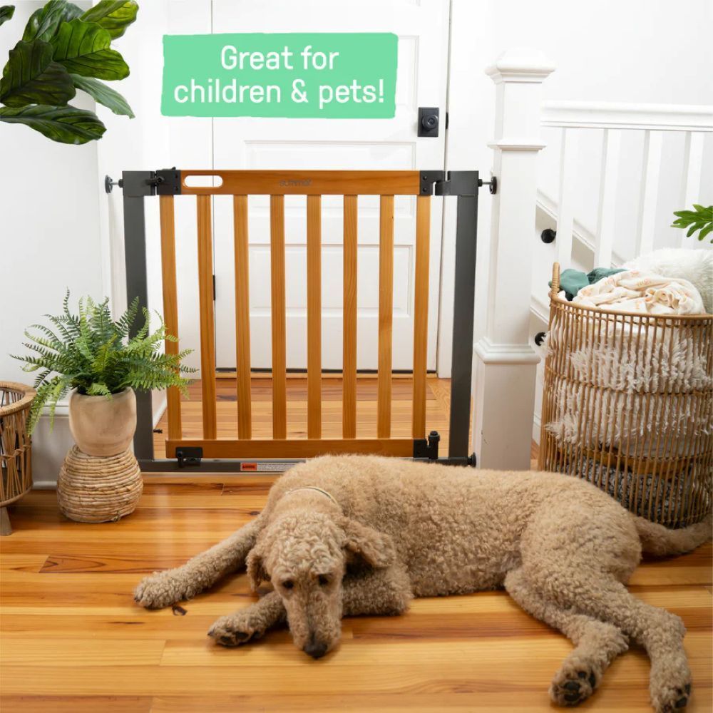 Ingenuity - The Thruway Baby Safety Gates - 60-Inch