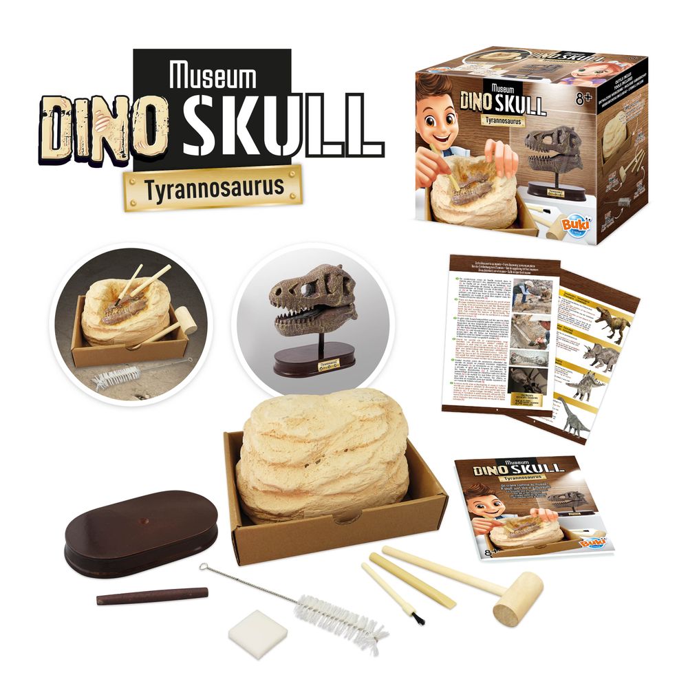 Buki France - Dino Skull T-Rex Kit