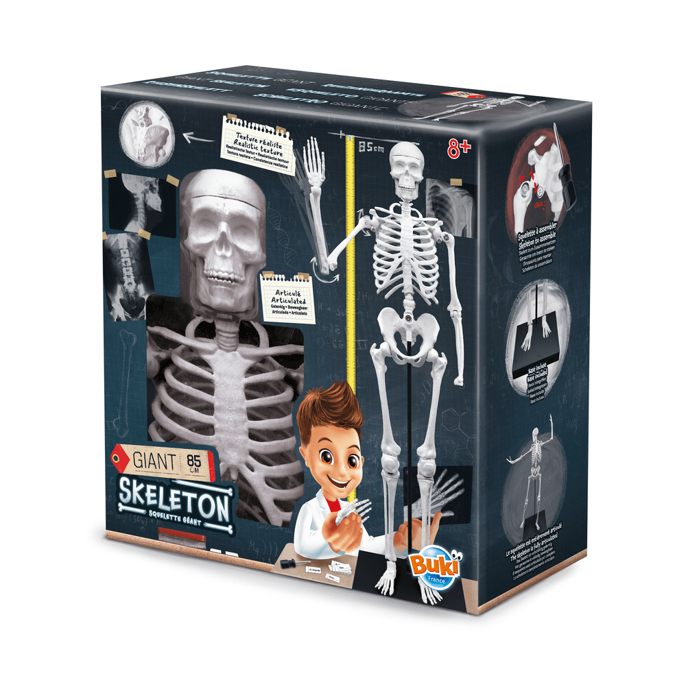 Buki France - Skeleton - 85 cm
