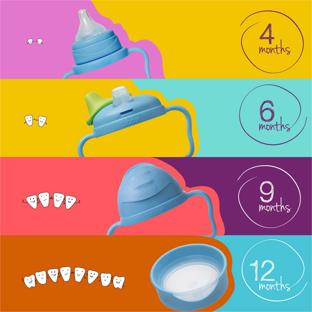 B.Box - Transition Sippy Cup Value Pack - Blush - 4 Pcs - 240ml