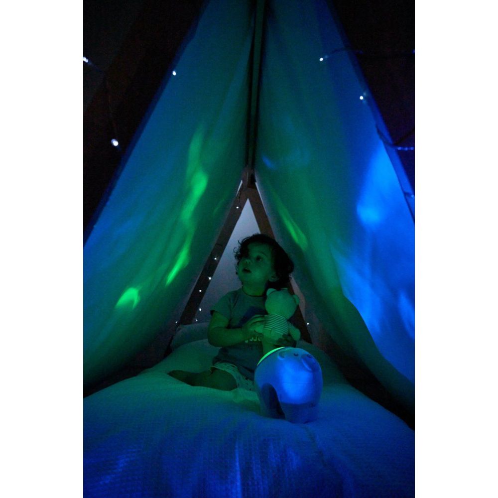 شيكو - جهاز عرض الدب القطبي 2 في 1