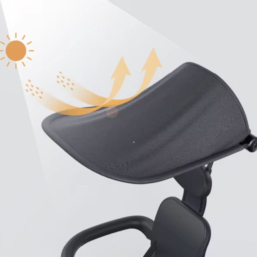 Mini Panda - Playtrike 5-In-1 Convertible Tricycle - Black