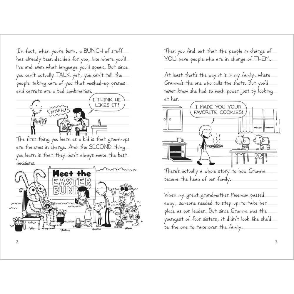 Diary of a Wimpy Kid: Hot Mess Book 19