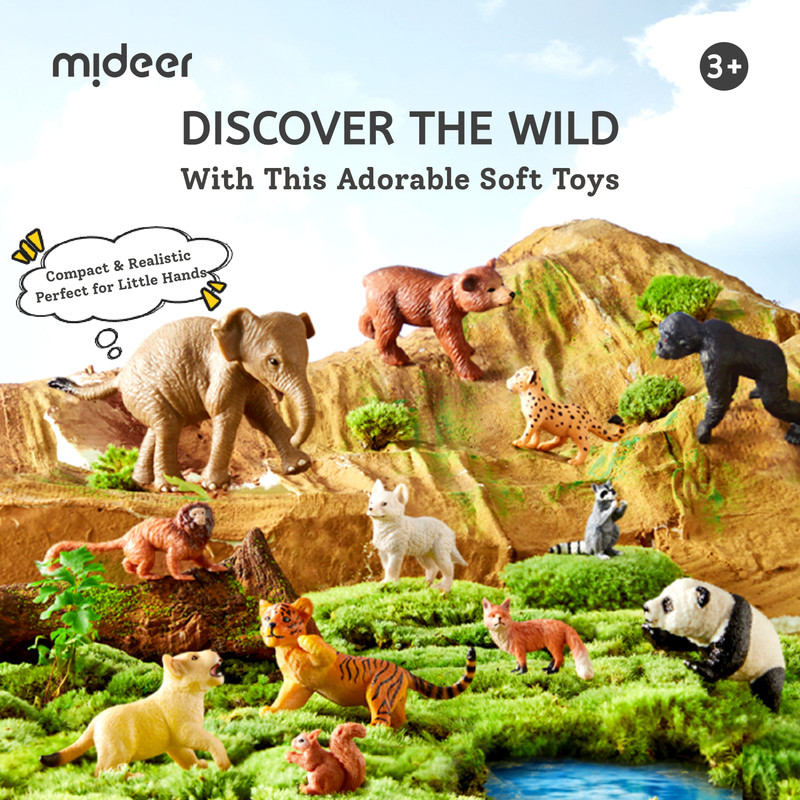 Mideer - Safari Animal Collectibles - 12 Pcs