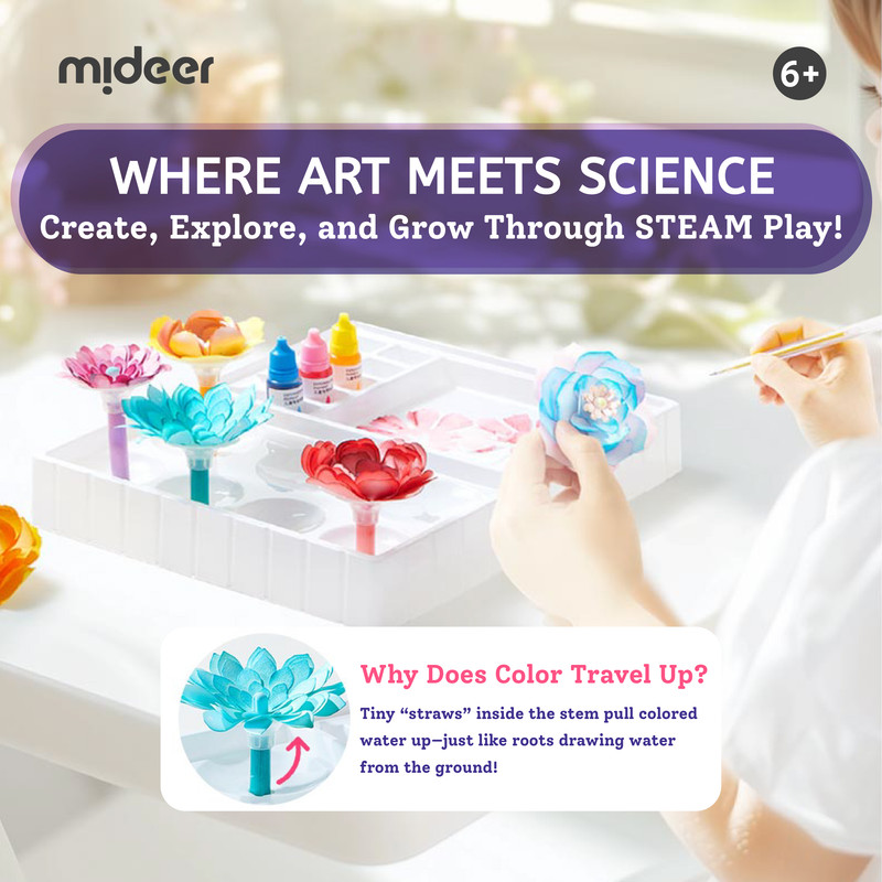 Mideer - DIY Magic Dyeing Florist Craft Kit - Multicolor