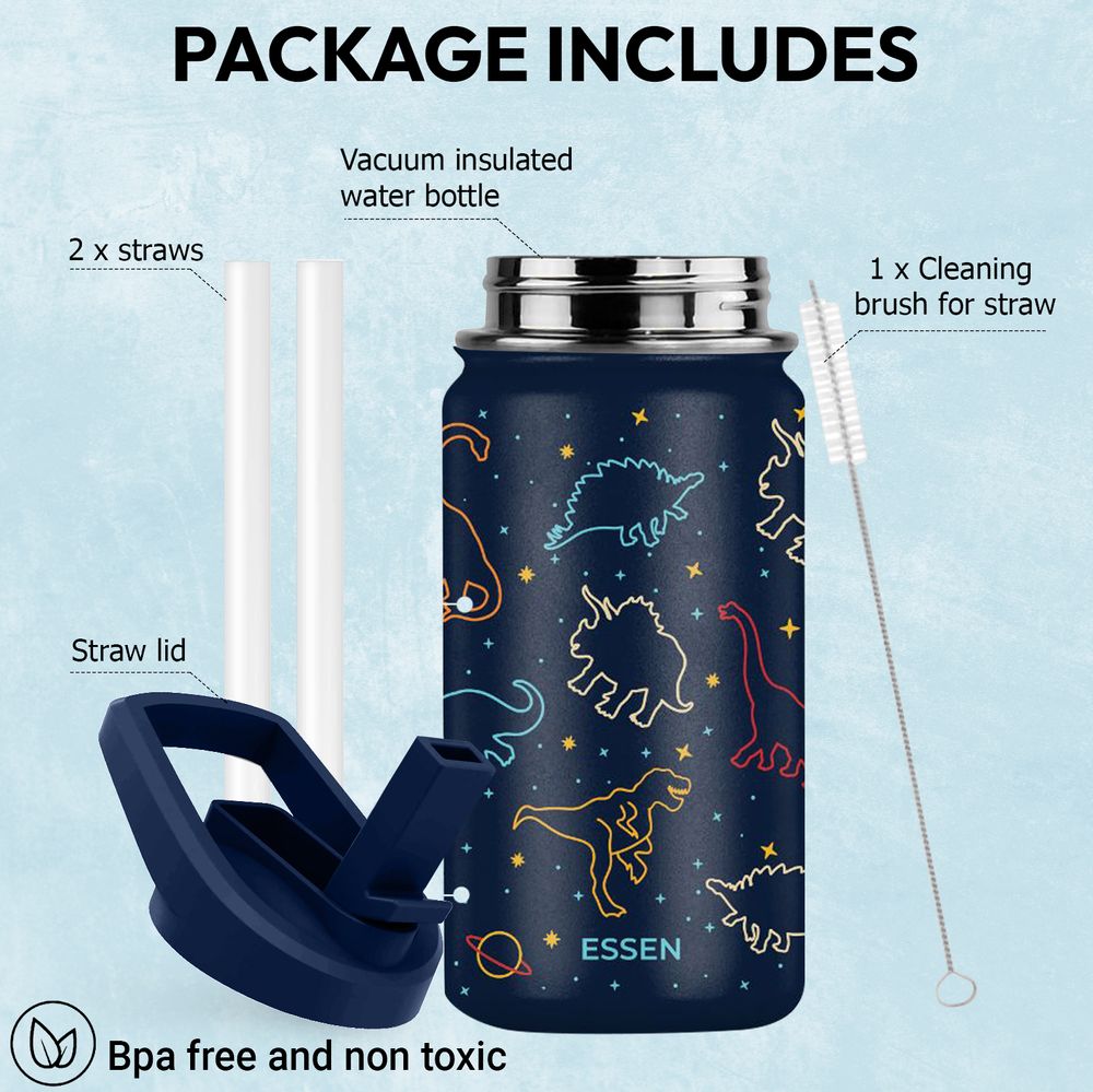 Essen - Stainless Steel Water Bottle, Straws & Cleaning Brush Set - Dinosaur - 414ml