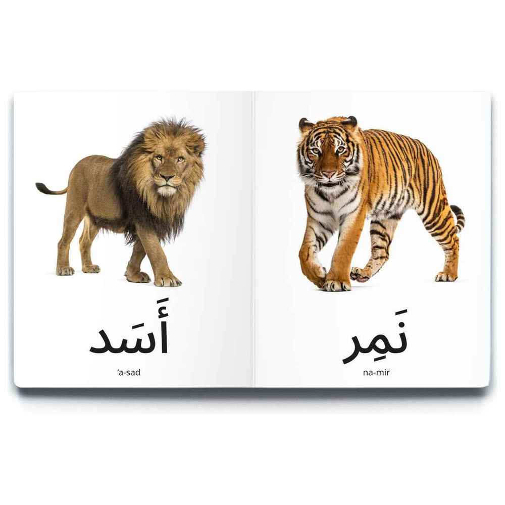 Dardasha - Wild Animals Book