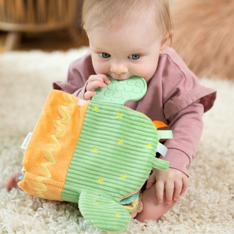 Ingenuity - Calm Springs Soft Teething Activity Book