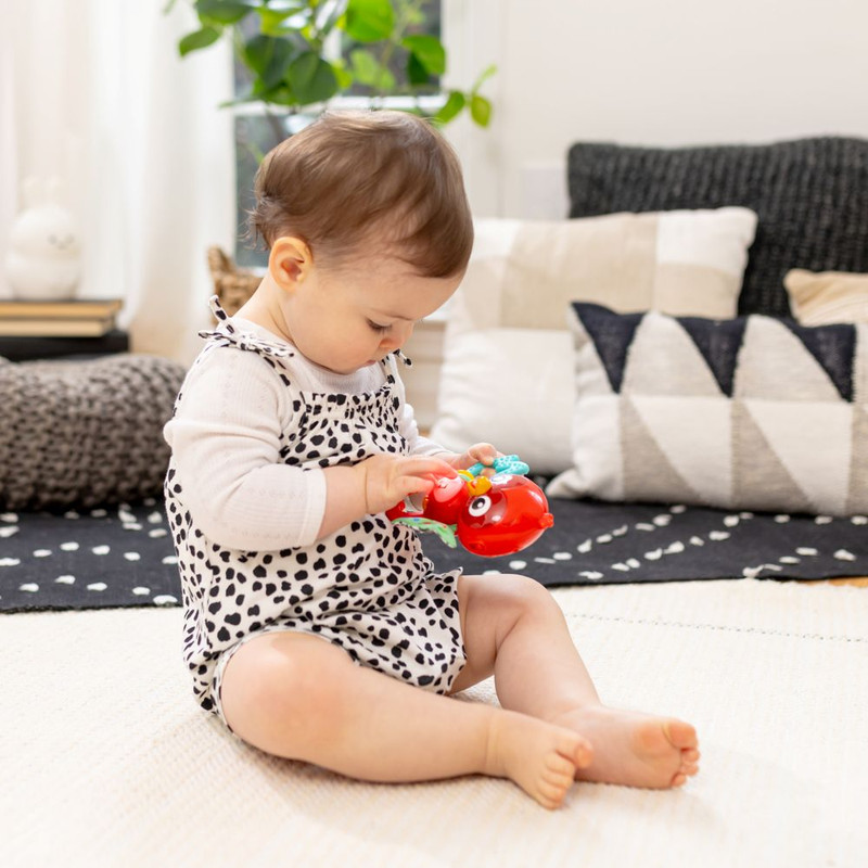 Baby Einstein - Roxy's Bright Flight Musical Toy