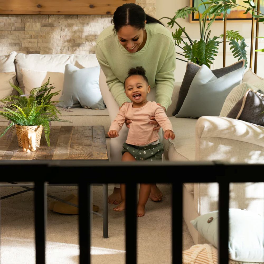 Ingenuity - Stairway Wide Pet & Baby Safety Gate - Black - 48-Inch