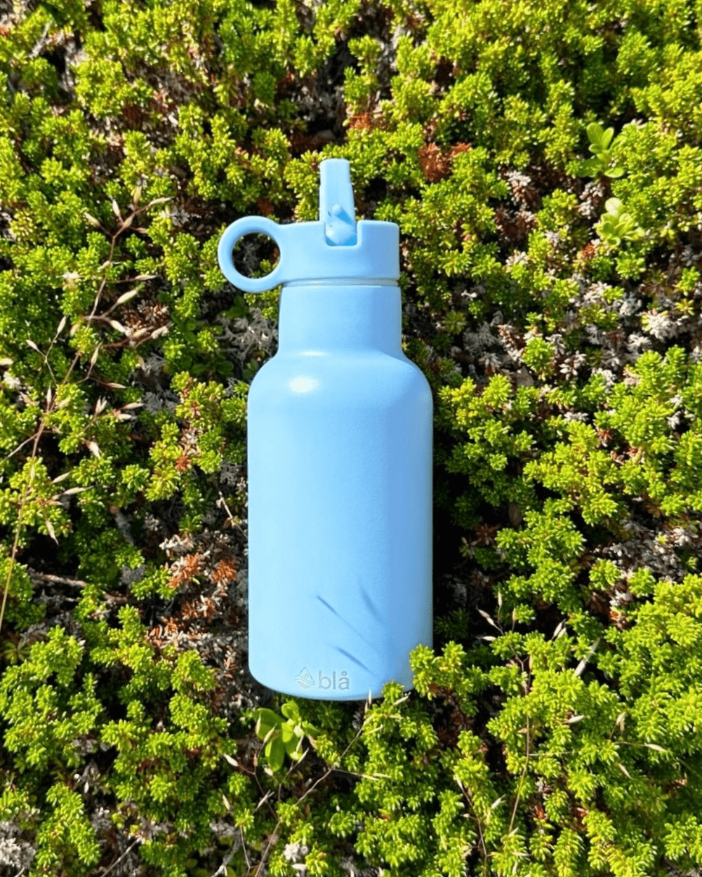 BLA - Dawn Insulated Water Bottle