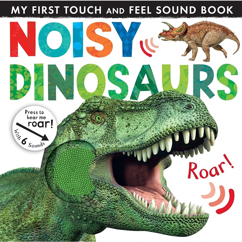 Noisy Dinosaurs Touch And Feel Book