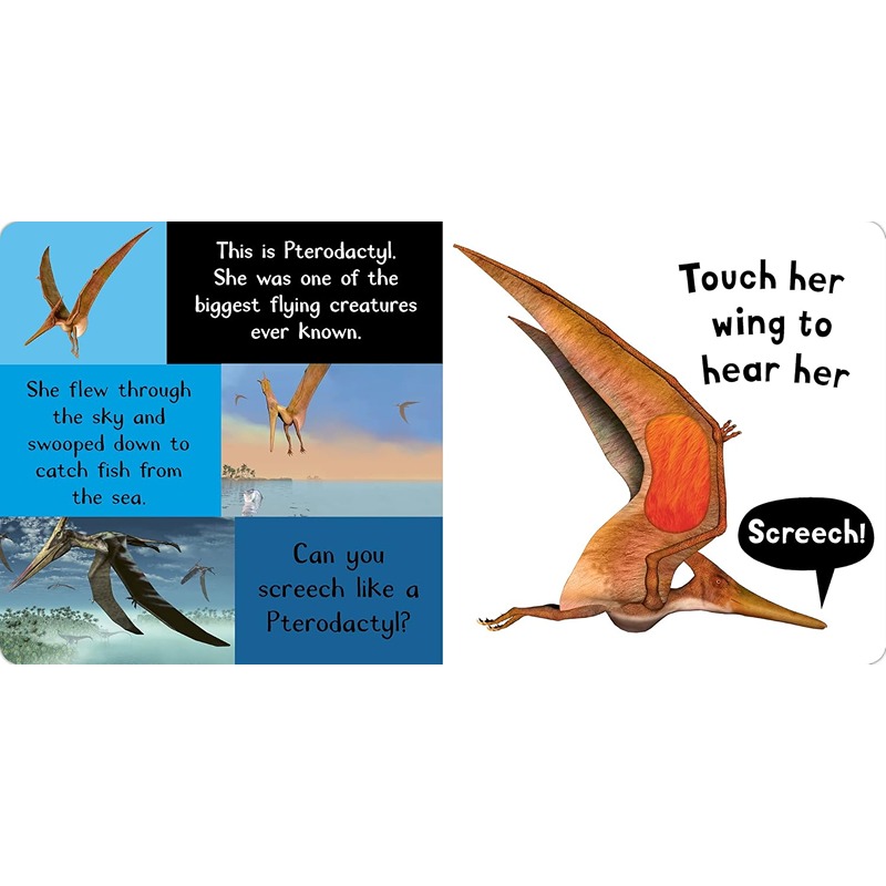 Noisy Dinosaurs Touch And Feel Book