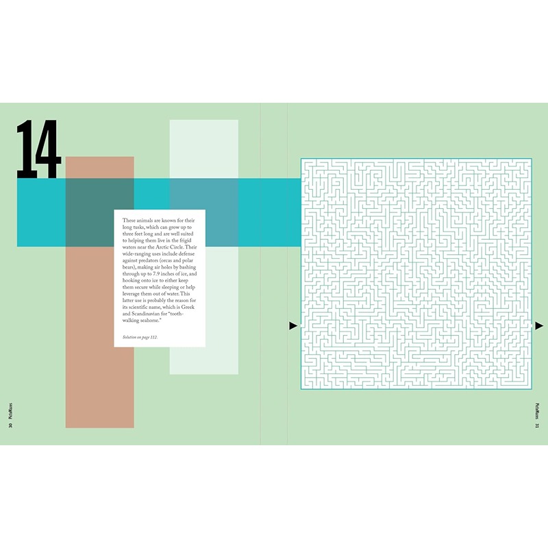 Pictomazes - Find 72 Hidden Animals