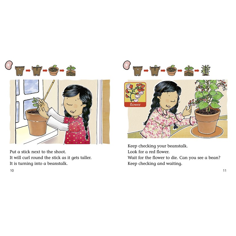 Collins Big Cat Phonics Practice: How To Grow A Beanstalk