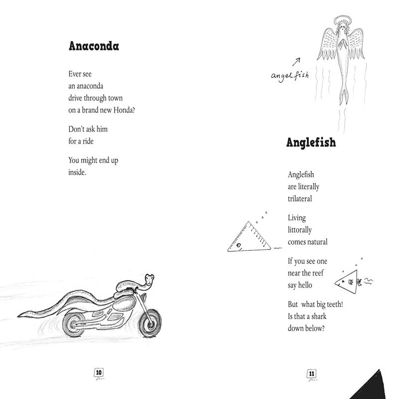 An Imaginary Menagerie: Poems And Drawings