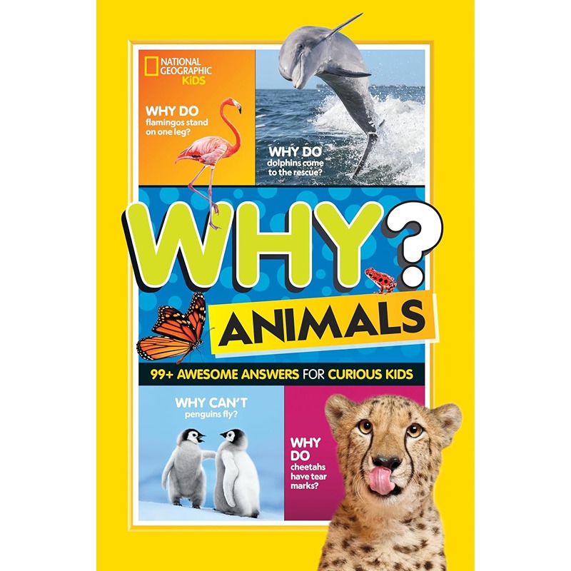 Why? Animals