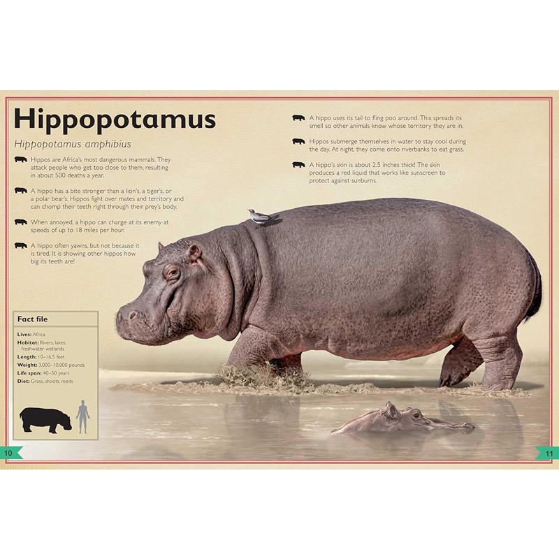 The Magnificent Book of Dangerous Animals