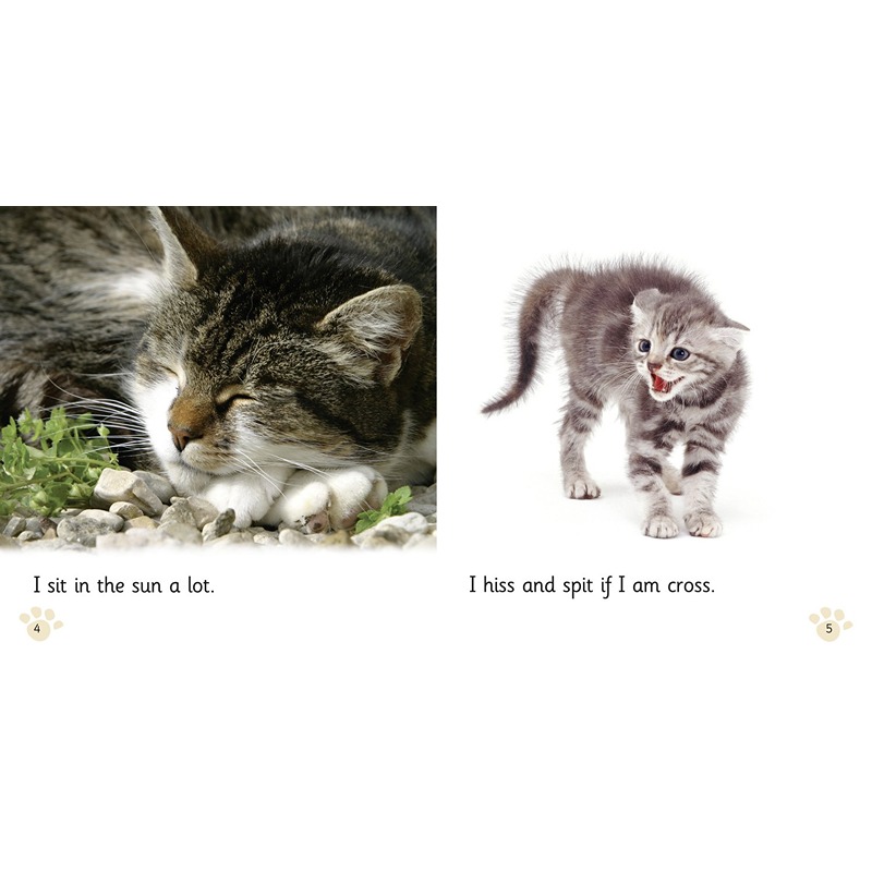 Collins Big Cat Phonics Practice: Pet Cat, Big Cat