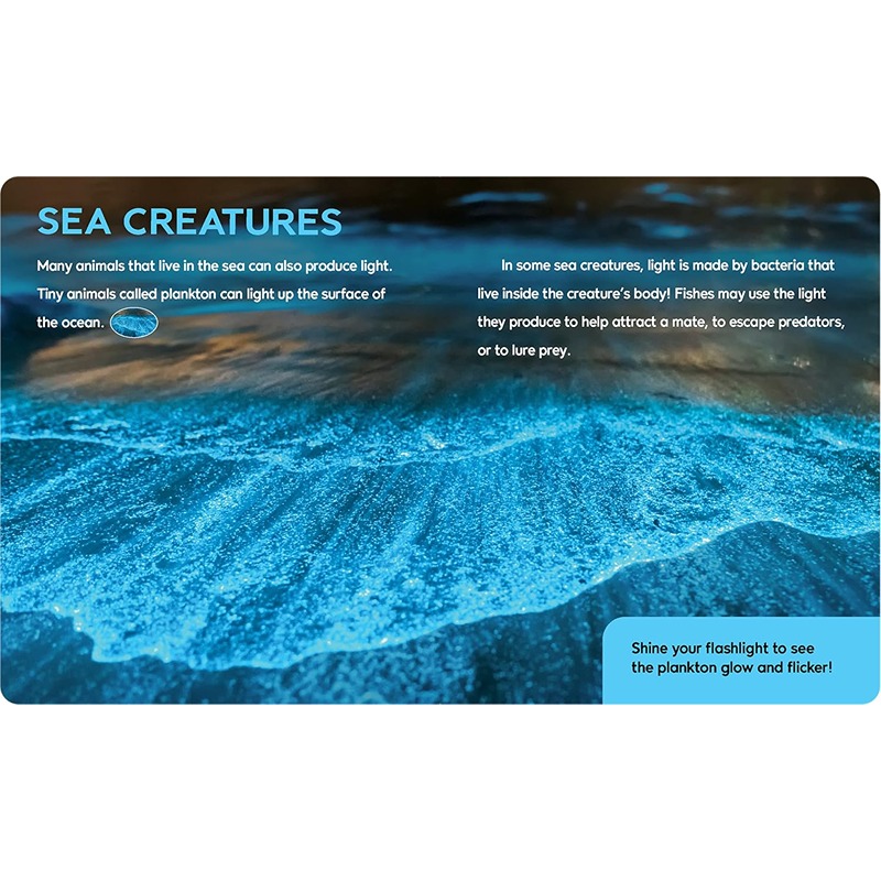 كتب بريتانيكا: كتاب "مشرق في الليل" ومجموعة مصباح يدوي بخمسة أصوات