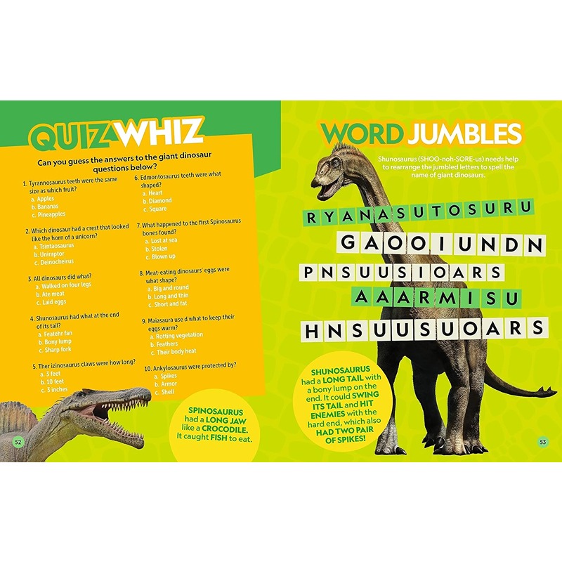 Puzzle Book Of Dinosaurs