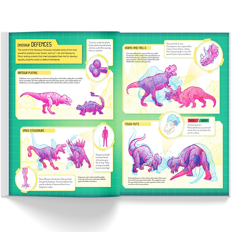 Secrets Of The Dinosaurs