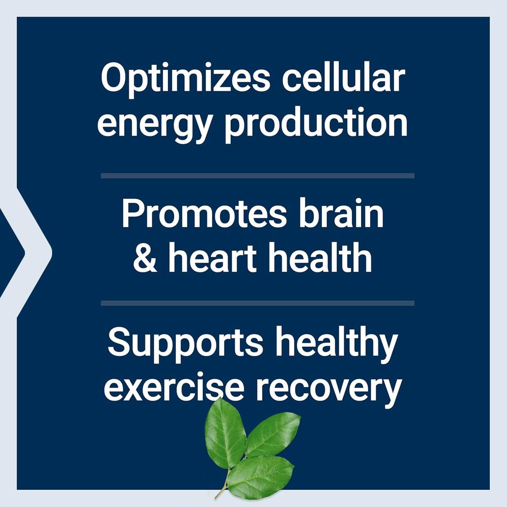 Life Extension - Optimized Carnitine for Energy Support - 60 Veg Caps