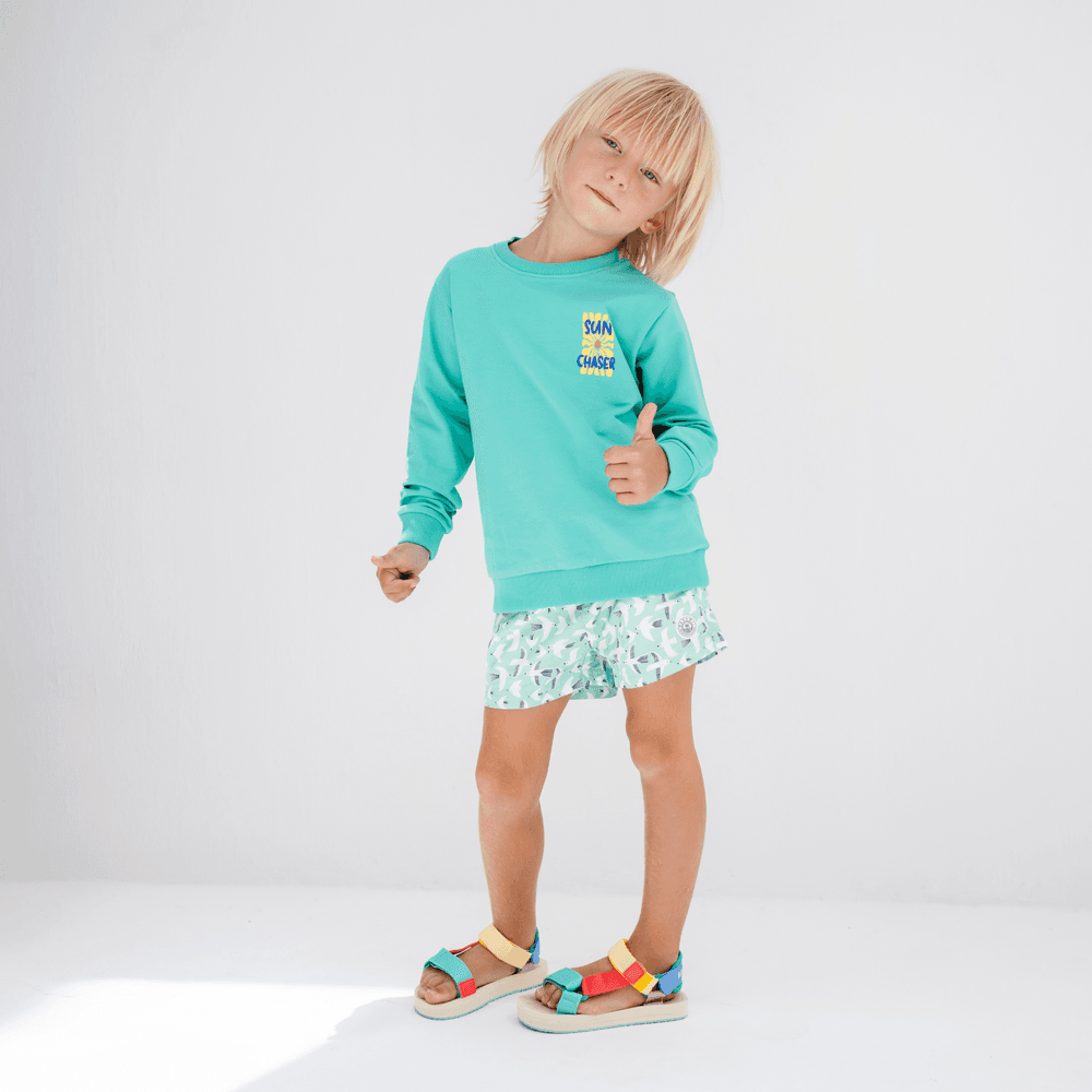 Badawii Beachwear - Boy's Swim Shorts - Seagul Breeze