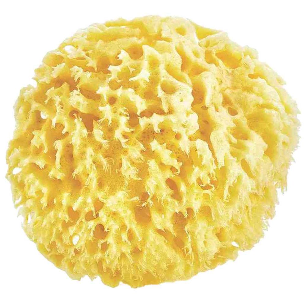 Babyjem Natural Sea Sponge - Natural