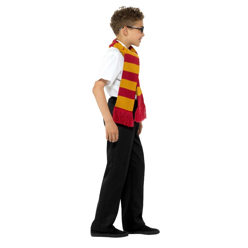 Smiffys - School Wizard Scarf, Tie And Glasses Kit