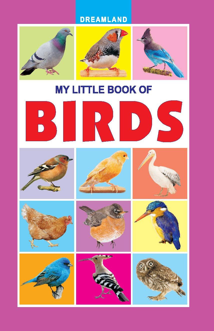My Little Book Of Birds