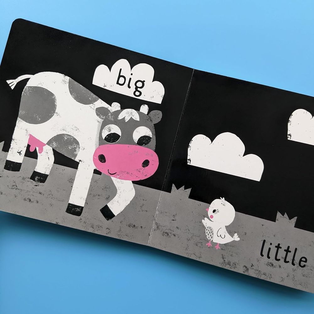 كتاب My First Black And White Books - Opposites