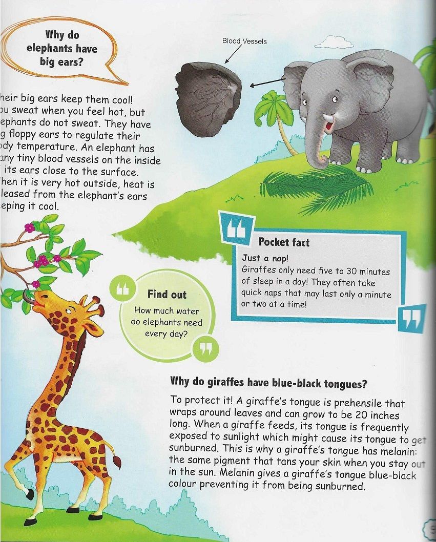 دار أوم للكتب العالمية - لماذا تمتلك الفيلة آذانًا كبيرة؟