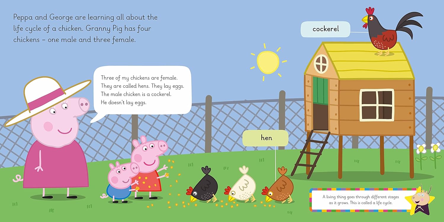 Ladybird Books - Learn With Peppa: Peppas New Chicks