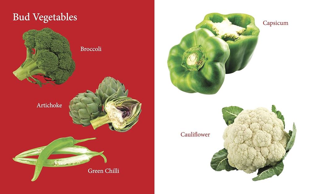 Om Books International - My First Book Of Vegetables